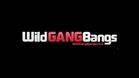 WildGangbangs